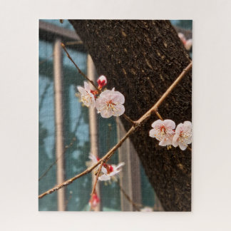 The Noble Call of Korean Spring ジグソーパズル