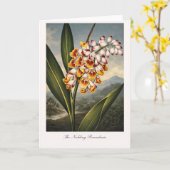 The Nodding Renealmia — Modern Botanical Reinterpr カード (黄色い花)