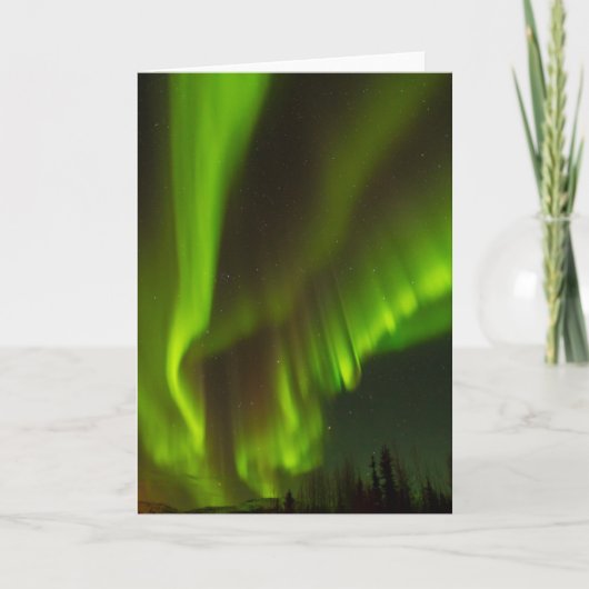 The Northern Lights | Fairbanks, Alaska カード (正面)