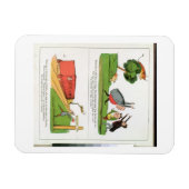 The Old Man of Aosta, page from 'The Book of Nonse マグネット (横)