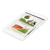 The Old Man of Aosta, page from 'The Book of Nonse マグネット (左側)