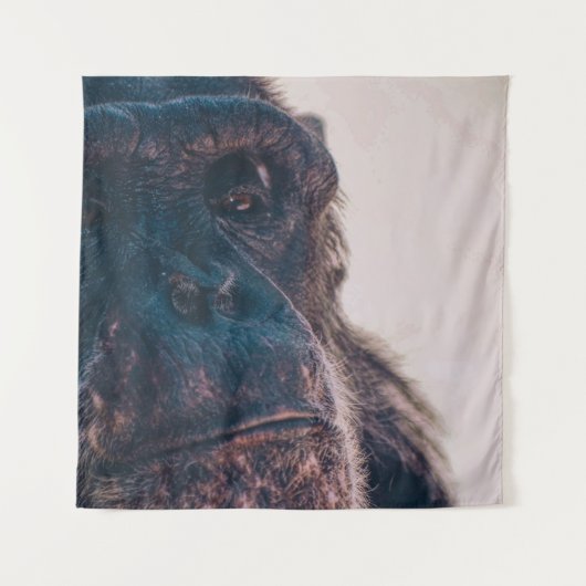 THE OLDEST CHIMPANZEE タペストリー (正面)