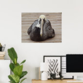 The Ornery Pelicanポスター ポスター (ホームオフィス)