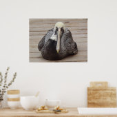 The Ornery Pelicanポスター ポスター (キッチン)