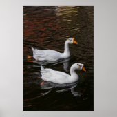 The Pair ポスター (正面)