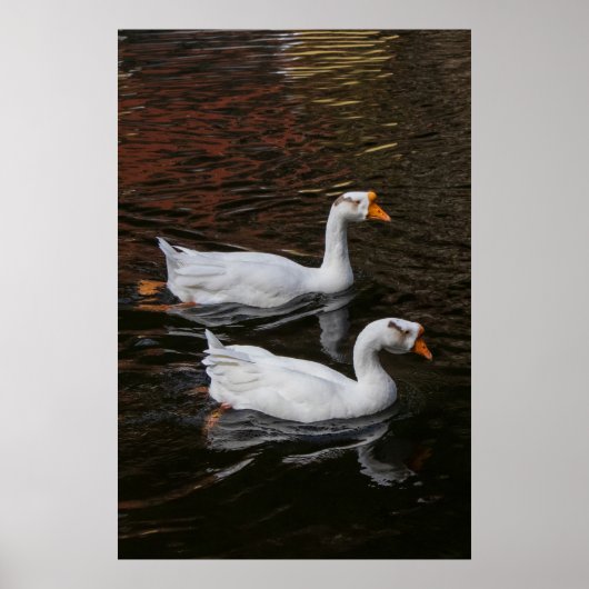 The Pair ポスター (正面)