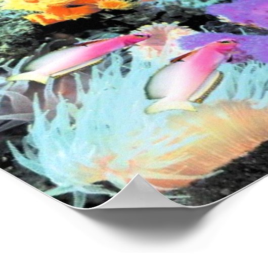 The Paradise of Centropyge ポスター (角)