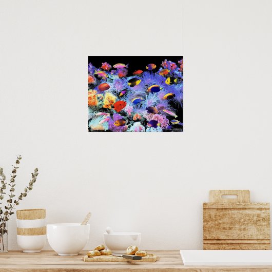 The Paradise of Centropyge ポスター (キッチン)