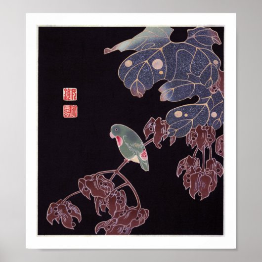 The Parrot, Jakuchū ポスター (正面)