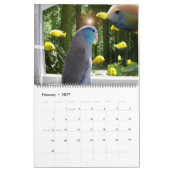 The Parrotlets 2020年年間写真カレンダー カレンダー (2月 2027)