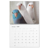 The Parrotlets 2020年年間写真カレンダー カレンダー (1月 2027)