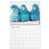 The Parrotlets 2020年年間写真カレンダー カレンダー (3月 2026)