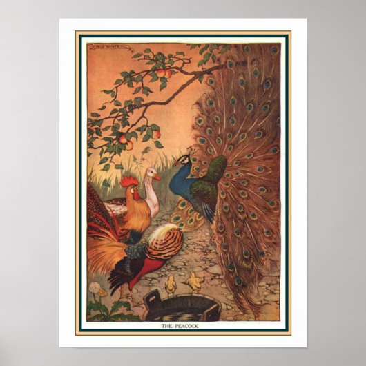 "The Peacock" Aeop Fableプリントca. 1919 ポスター (正面)