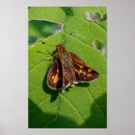 The Pecks Skipper ポスター