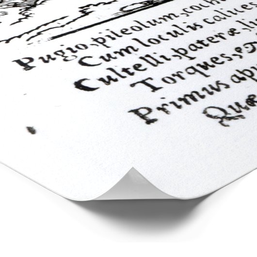 The Pedlar （Hartman Schopper発行） ポスター (角)