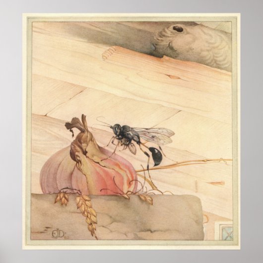 THE PELOPAEUS SPIRFEX – 昆虫の本のイラストレーション ポスター (正面)