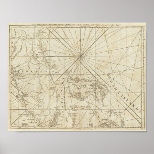 The Peninsula and Gulf of Florida ポスター (正面)