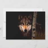 The Phantom Wolf 招待状 (裏面)