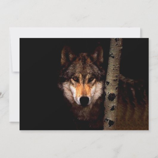 The Phantom Wolf 招待状 (裏面)