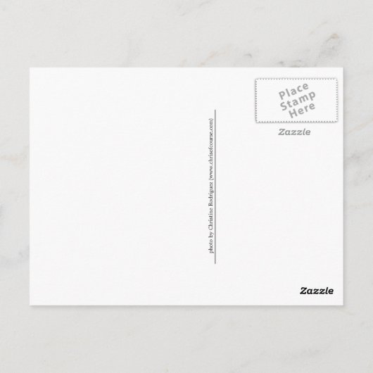 The Pier at Gulf Beach ポストカード (裏面)