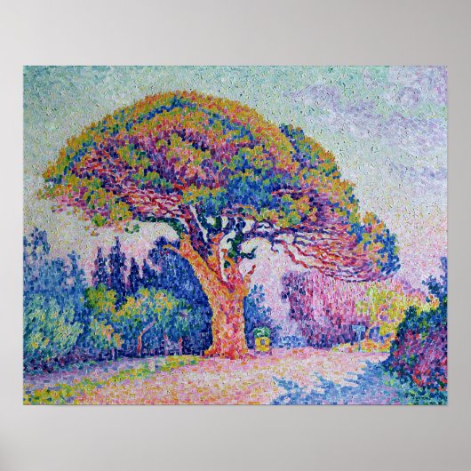 The Pine Tree at St. Tropez, 1909 ポスター (正面)