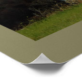 The Pocono Mountains Photo ポスター (角)