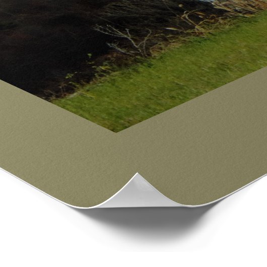 The Pocono Mountains Photo ポスター (角)