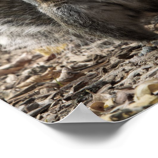 The Pose ポスター (角)