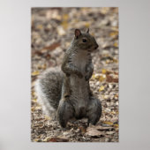 The Pose ポスター (正面)