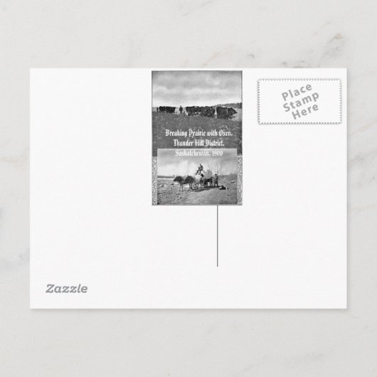 「The Prairie at Elstow, Saskatchewan-1914」 ポストカード (裏面)