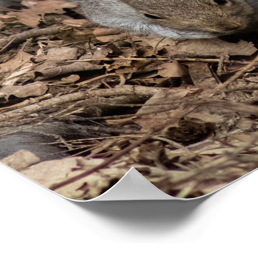 The Prowl ポスター (角)