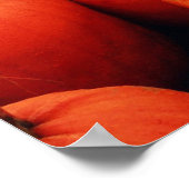 The Pumpkin Patch ポスター (角)