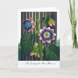 The Quadrangular Passion Flower Modern Botanical カード