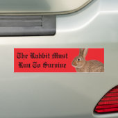 The rabbit must run to survive bumper sticker バンパーステッカー (車上)