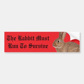 The rabbit must run to survive bumper sticker バンパーステッカー