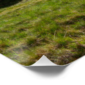 The Rain Stone, Blackstone Edge ポスター (コーナー)