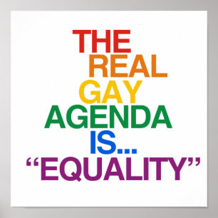 THE REAL GAY AGENDA ポスター