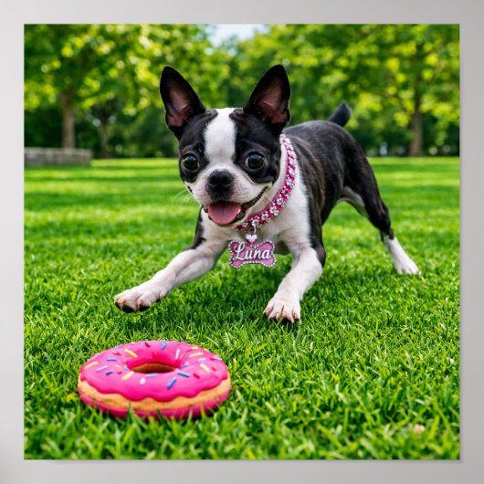 "The REAL Luna" ポスター (正面)