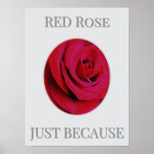 THE RED Rose Poster ポスター (正面)