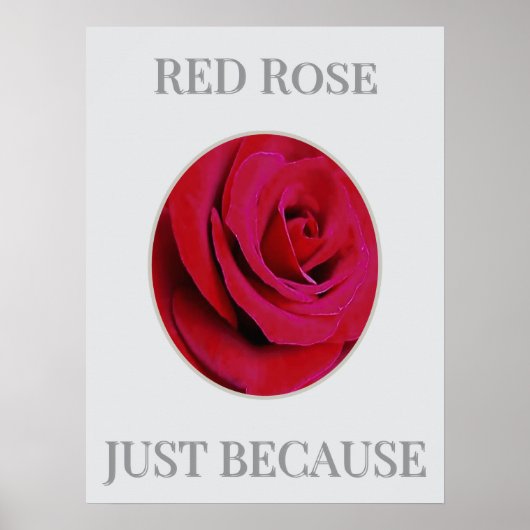 THE RED Rose Poster ポスター (正面)