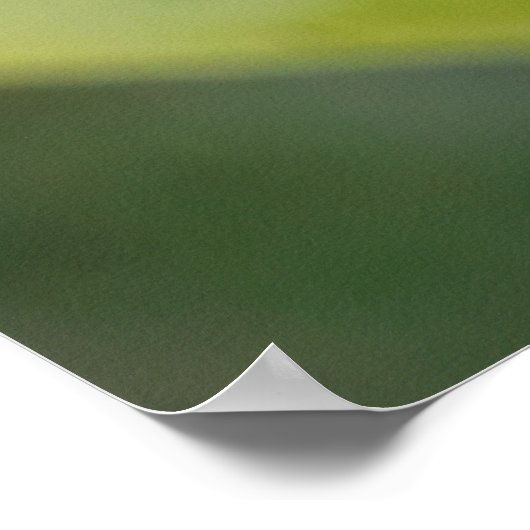 The Red Zinnia ポスター (角)