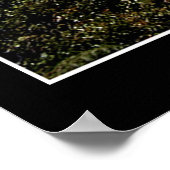 「THE REMARICABLES, NZ」フォトポスター ポスター (角)