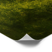 The Restoration: Summer Bloom on the Frontier ポスター (角)