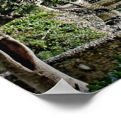 The Riviera -イタリアン Portofino, Italia Poster ポスター (角)