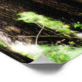 The Road Not Travelled ポスター (角)