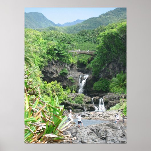 The Road To Hana ポスター (正面)