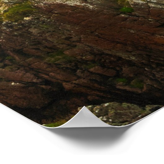 The Rugged Sentinel of the Celtic Coast ポスター (角)