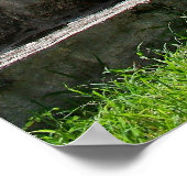 The Serpent, Chichen Ixta,マヤ遺跡,メキシコ ポスター (角)