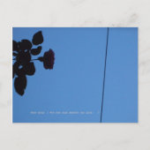 The shadow of a rose emerging darkly. ポストカード (正面)