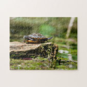 "The Shy Turtle" 252 Piece Jigsaw Puzzle ジグソーパズル (横)